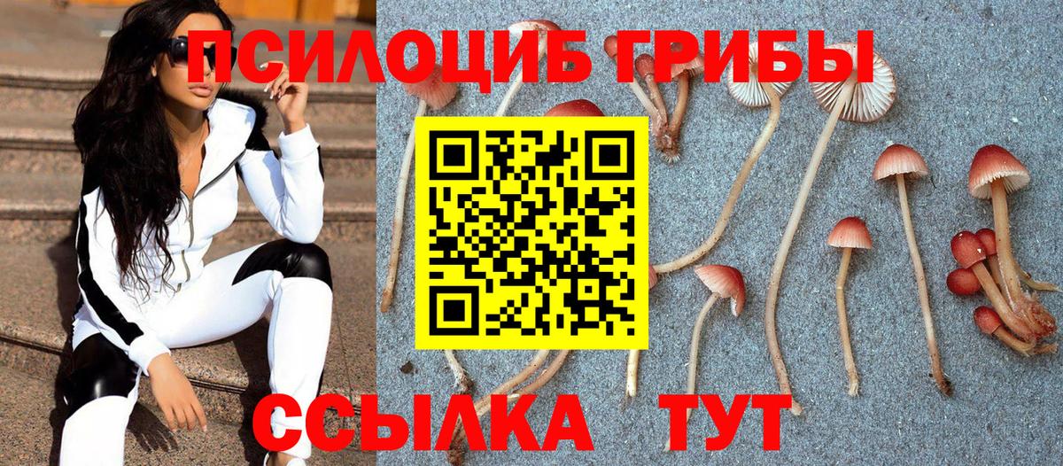 Псилоцибиновые грибы Cubensis Люберцы
